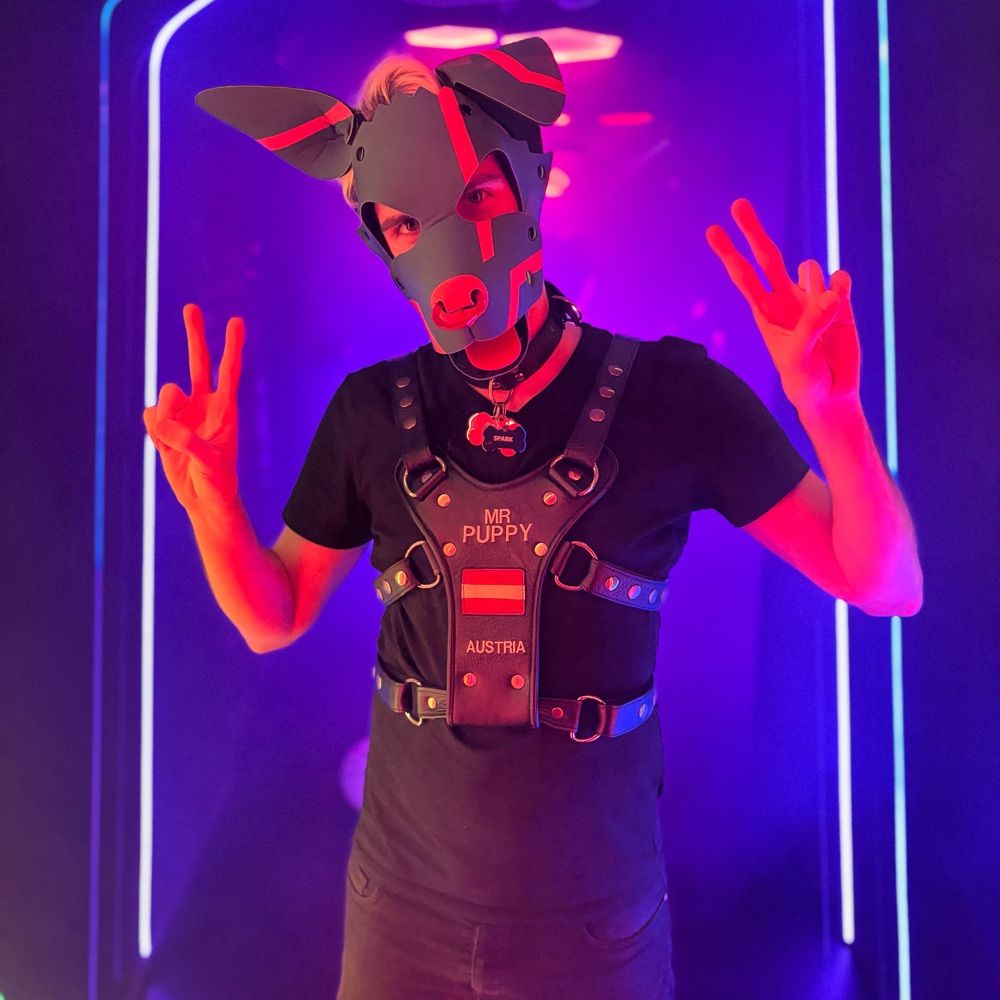 Pup Spark