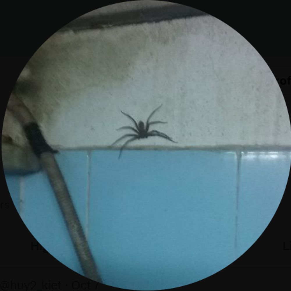 User avatar