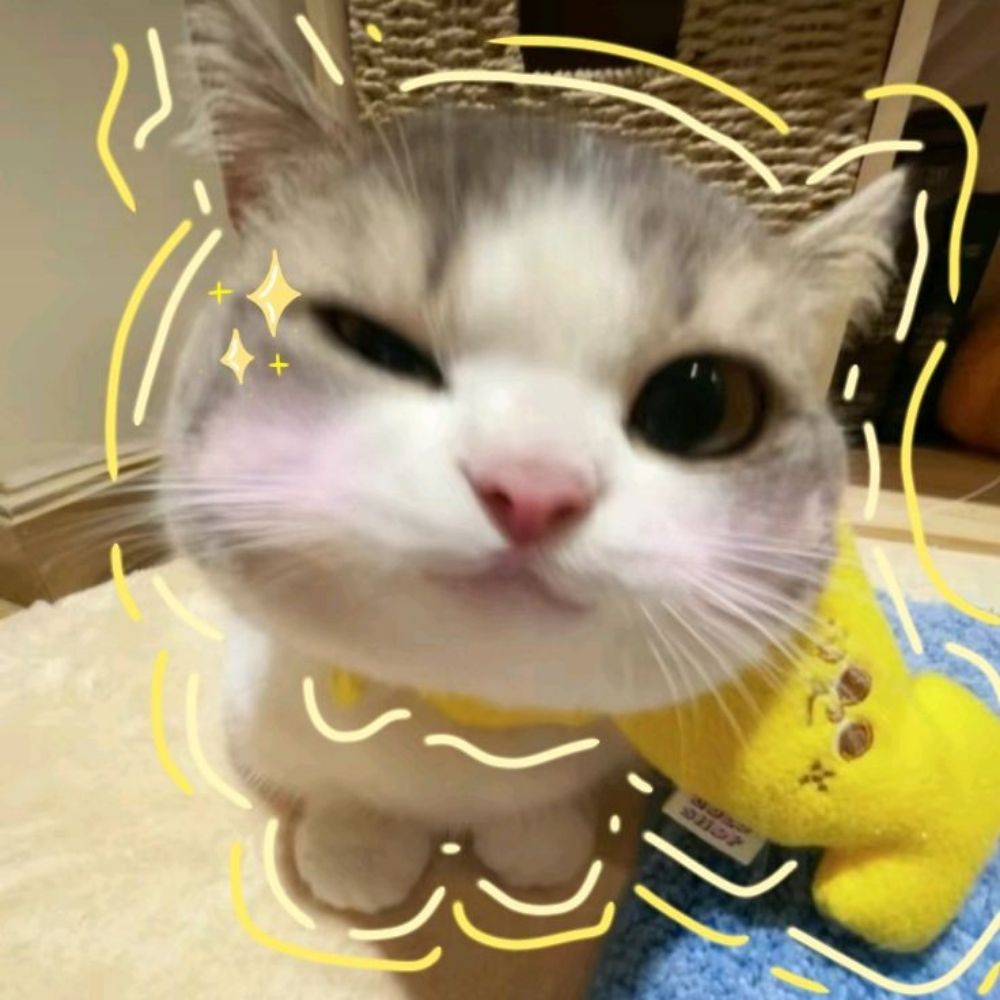 jupi