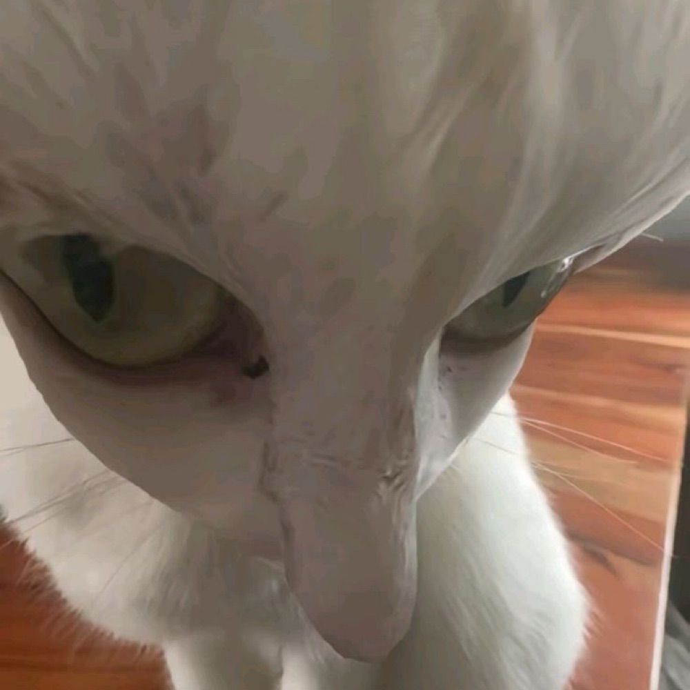 A_dougr