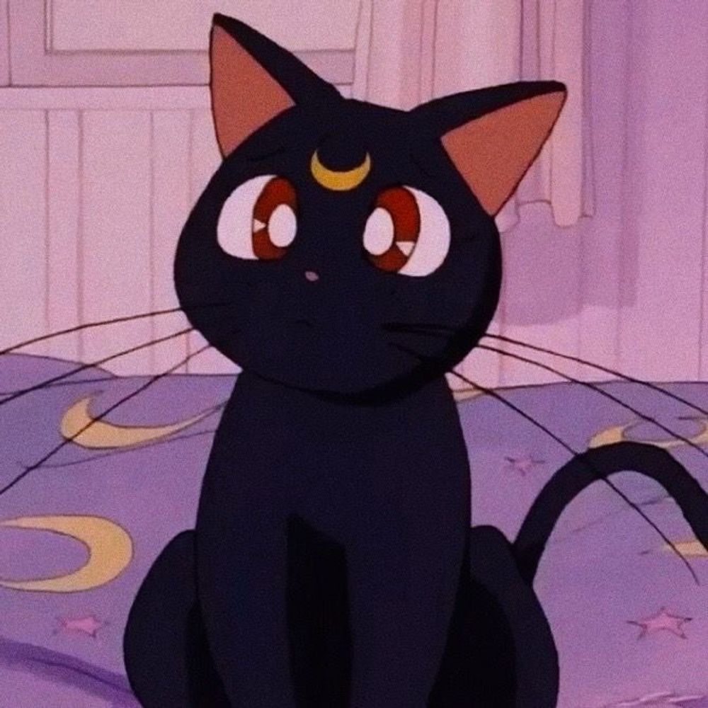 kat✨🧚🏼‍♀️