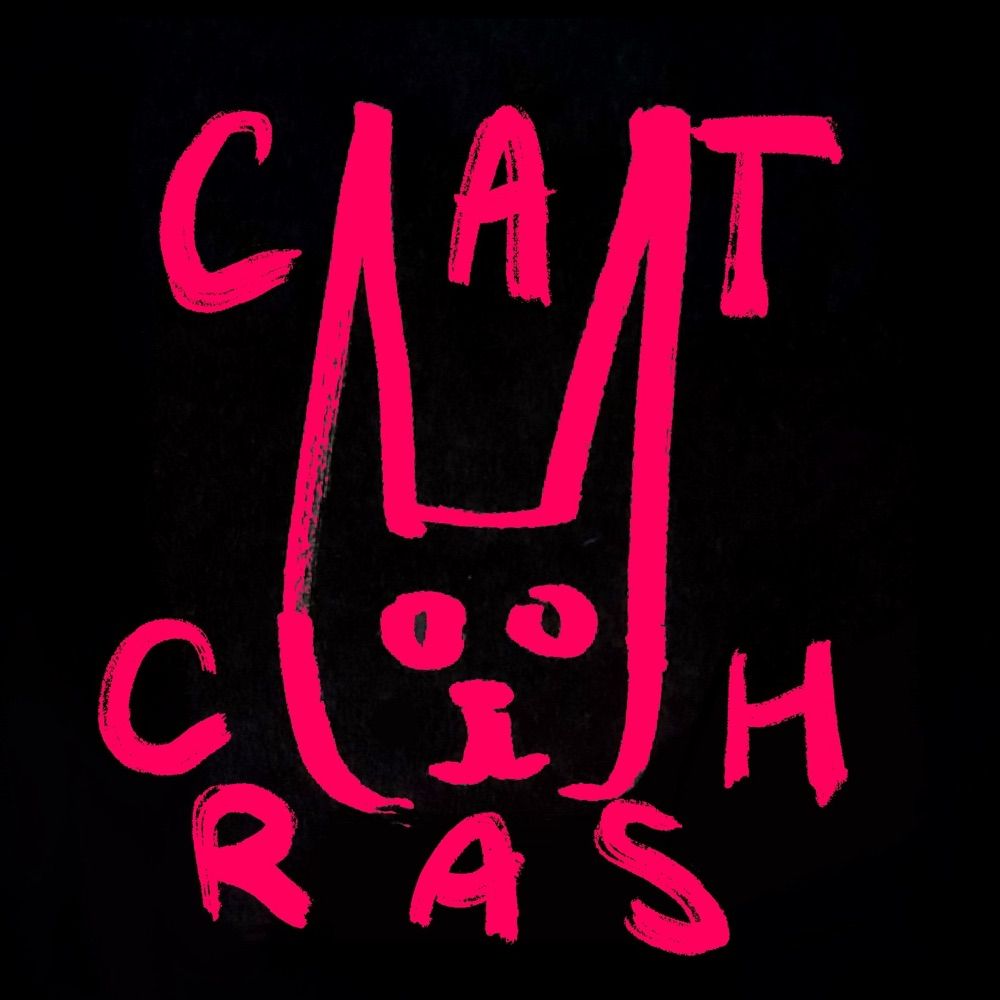 Profile picture catcrash.bsky.social