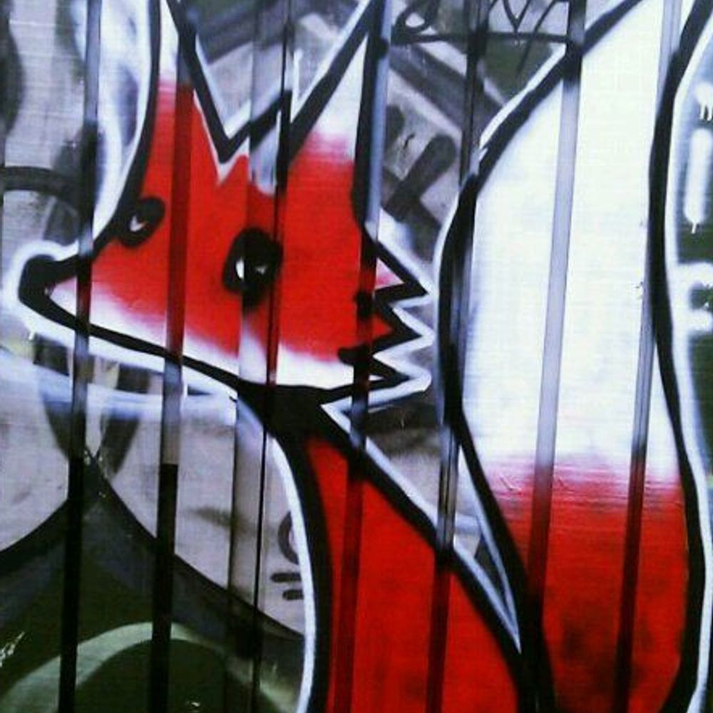 🦊StadjerVos🏙️