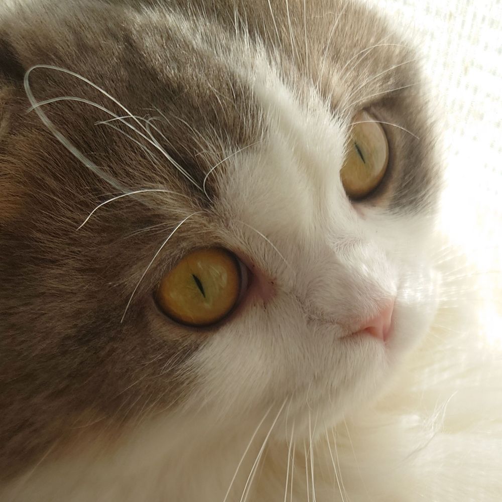 あーこ