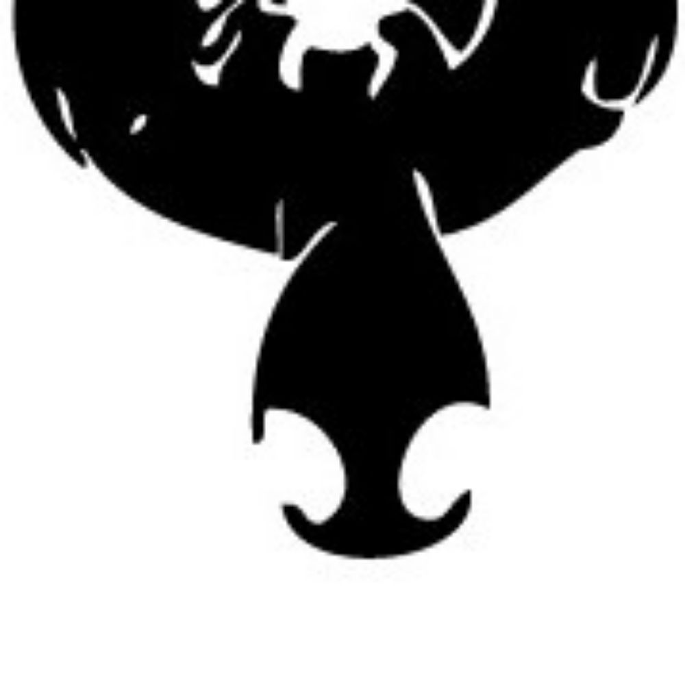 sjwspiderman.bsky.social profile picture