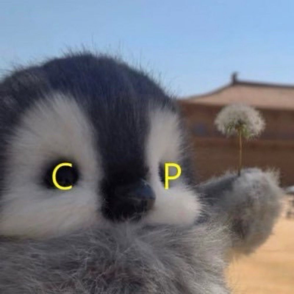 뗑컨쓰