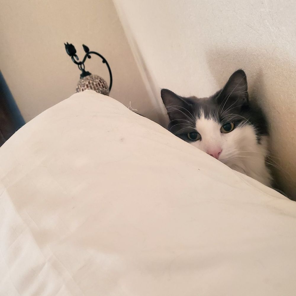 たみくさ