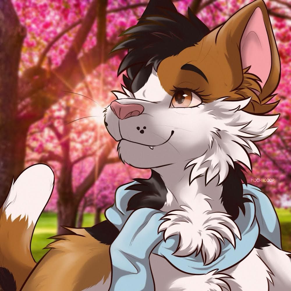 Uwu🧋🔜FWA
