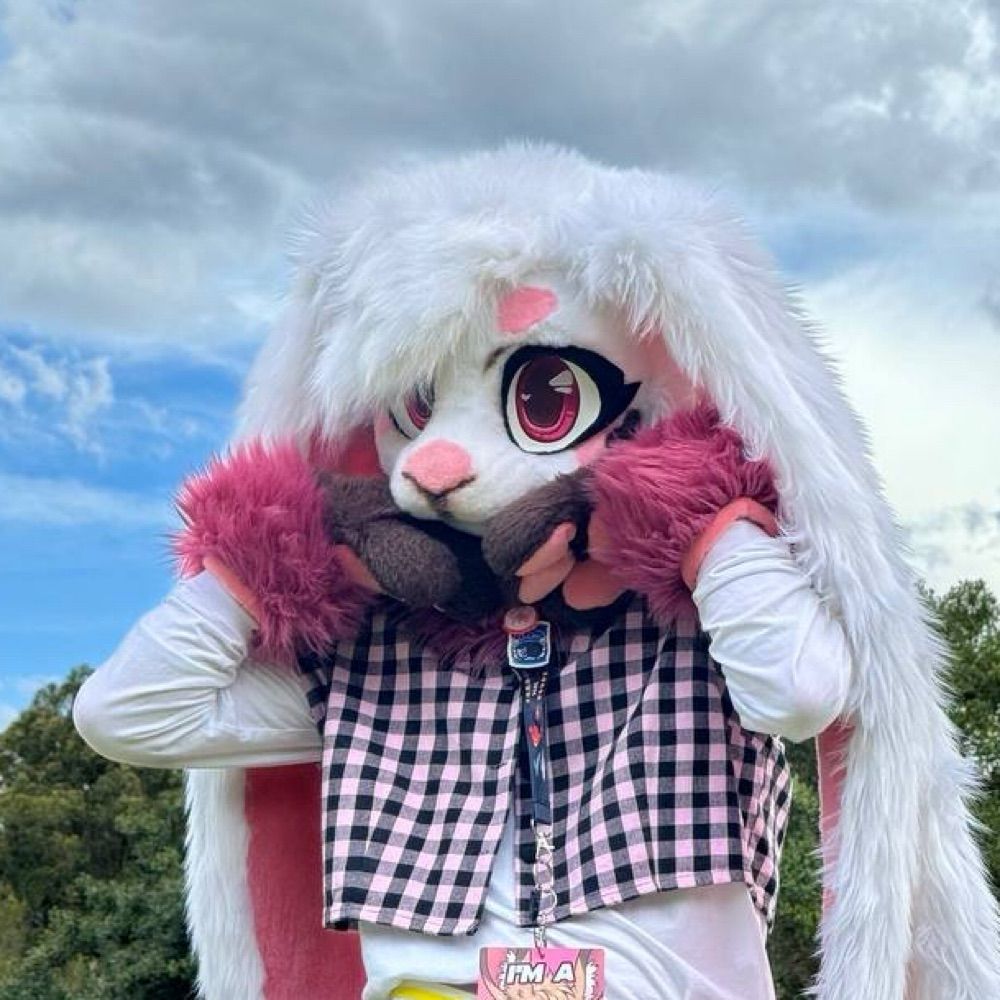 Hidero the Bunny 