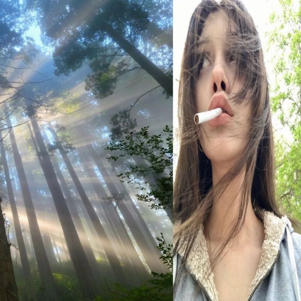nikita
