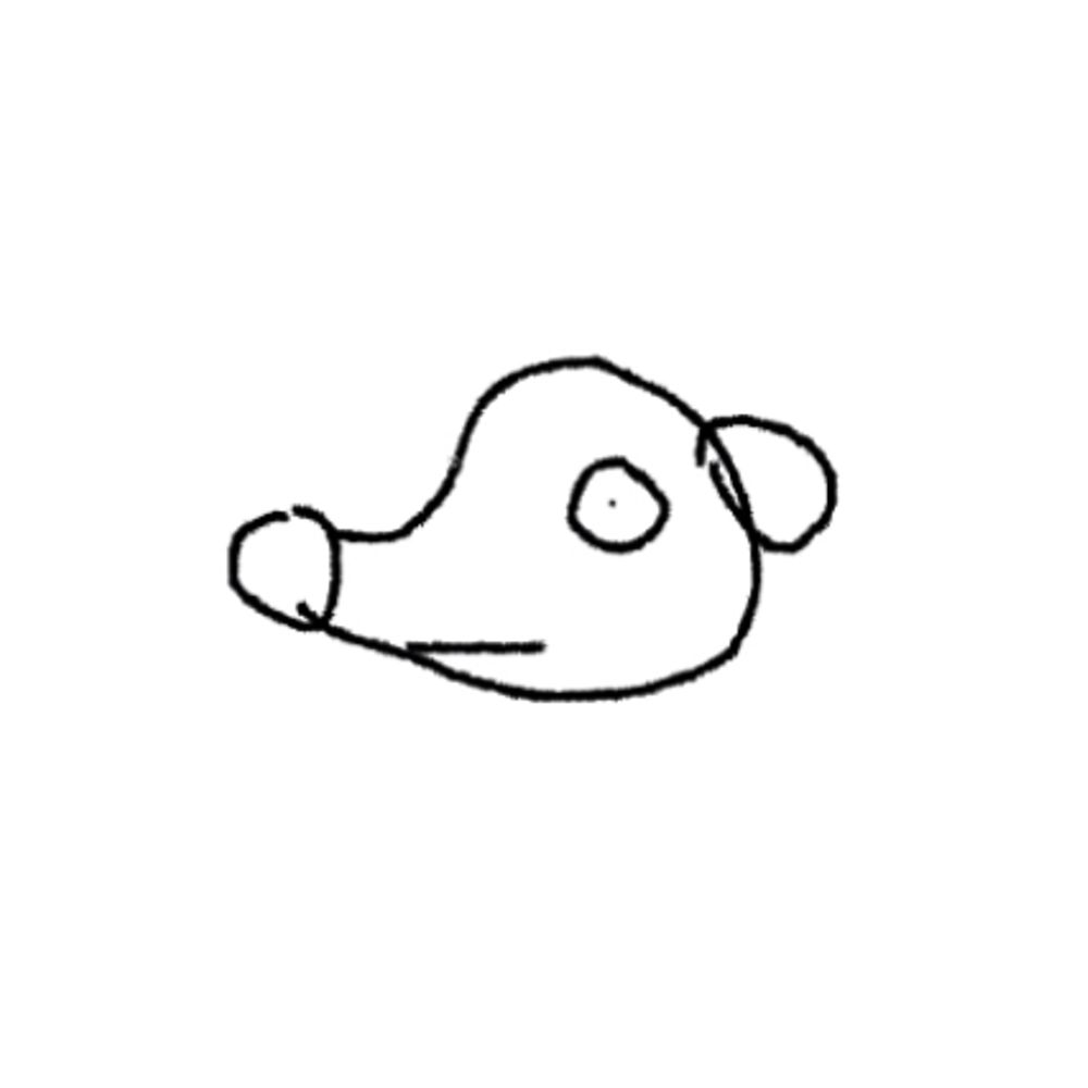 참시치