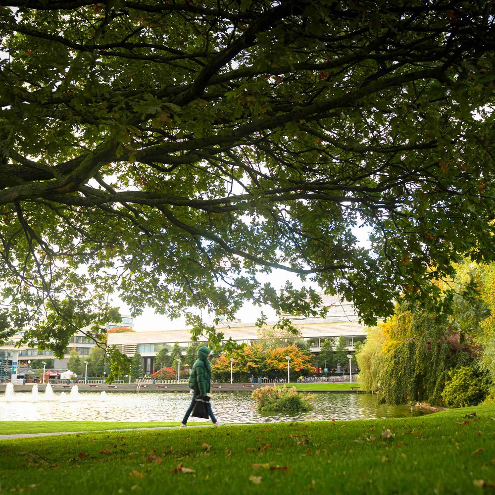 UCD Sustainability