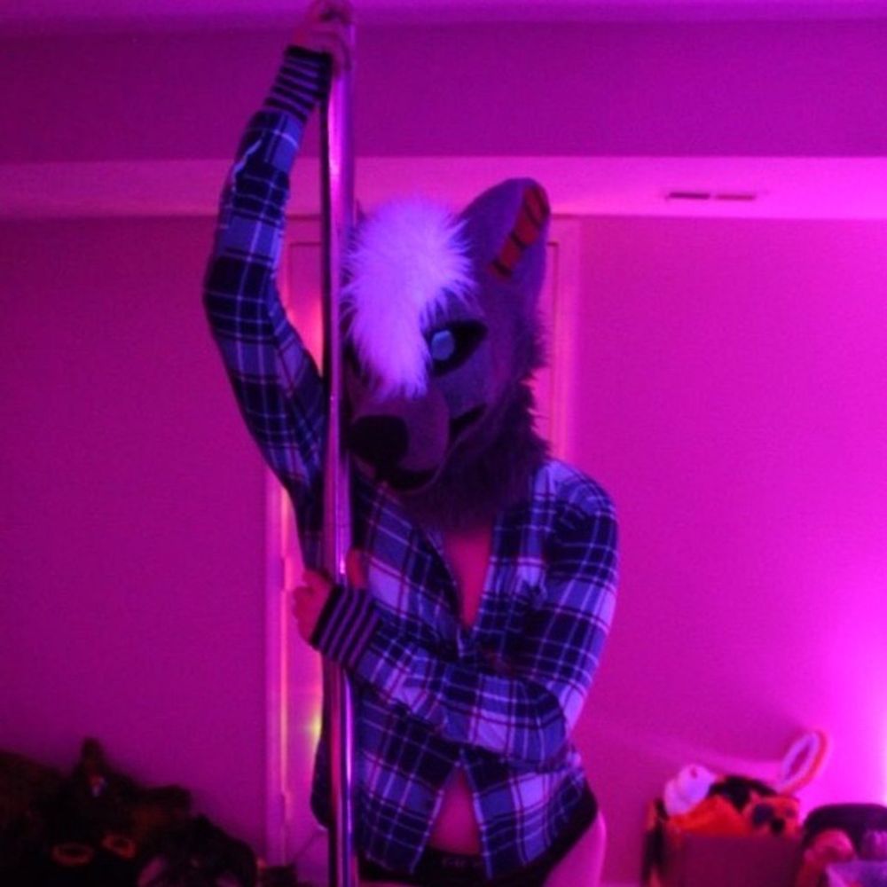 Aiden Husky