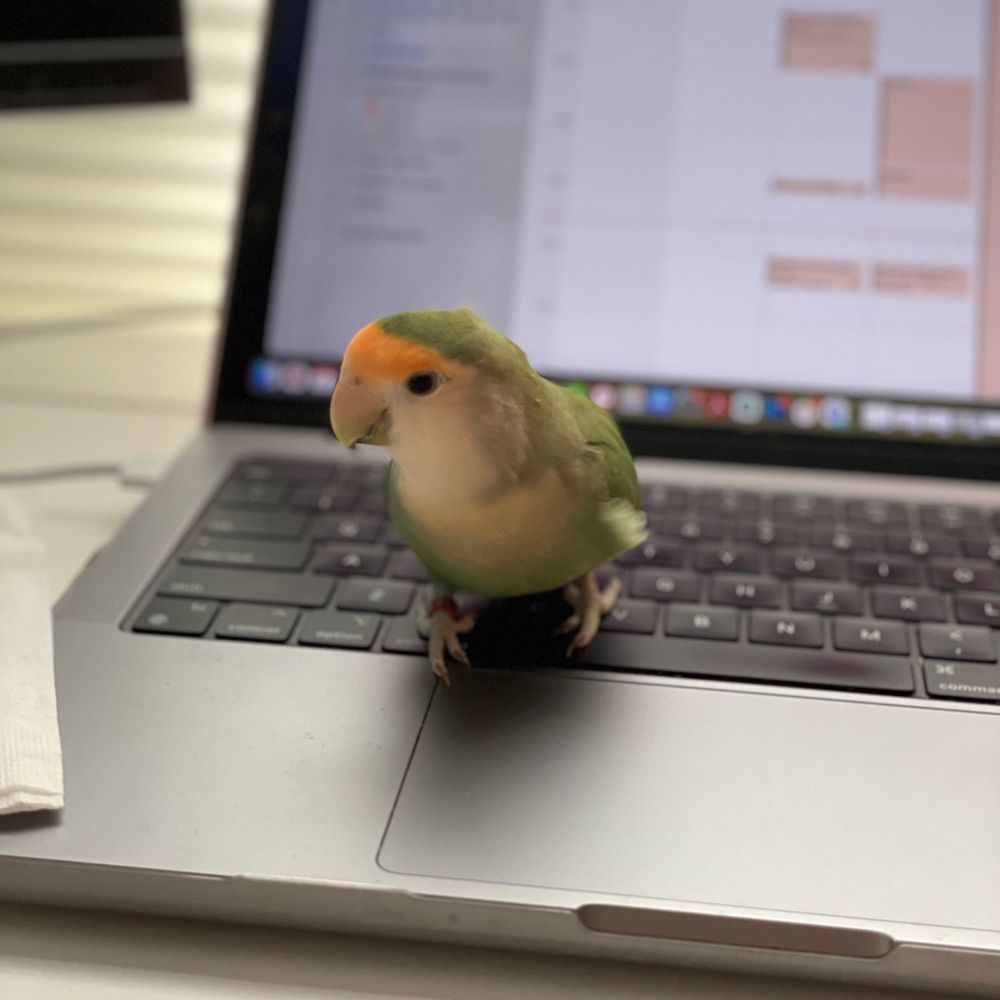 Pierre Le Peep