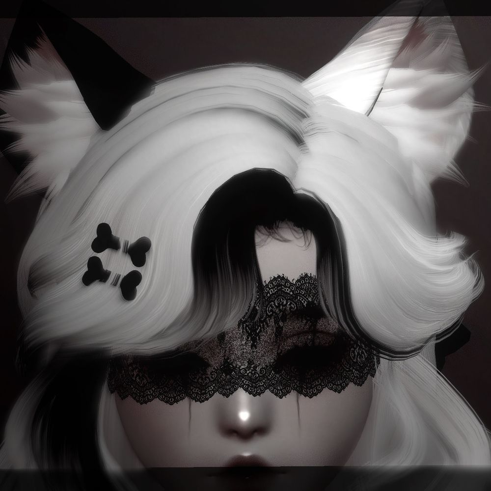 Kimi 🐾