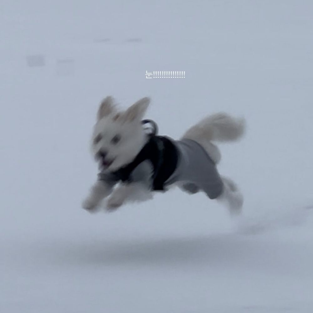 도돋