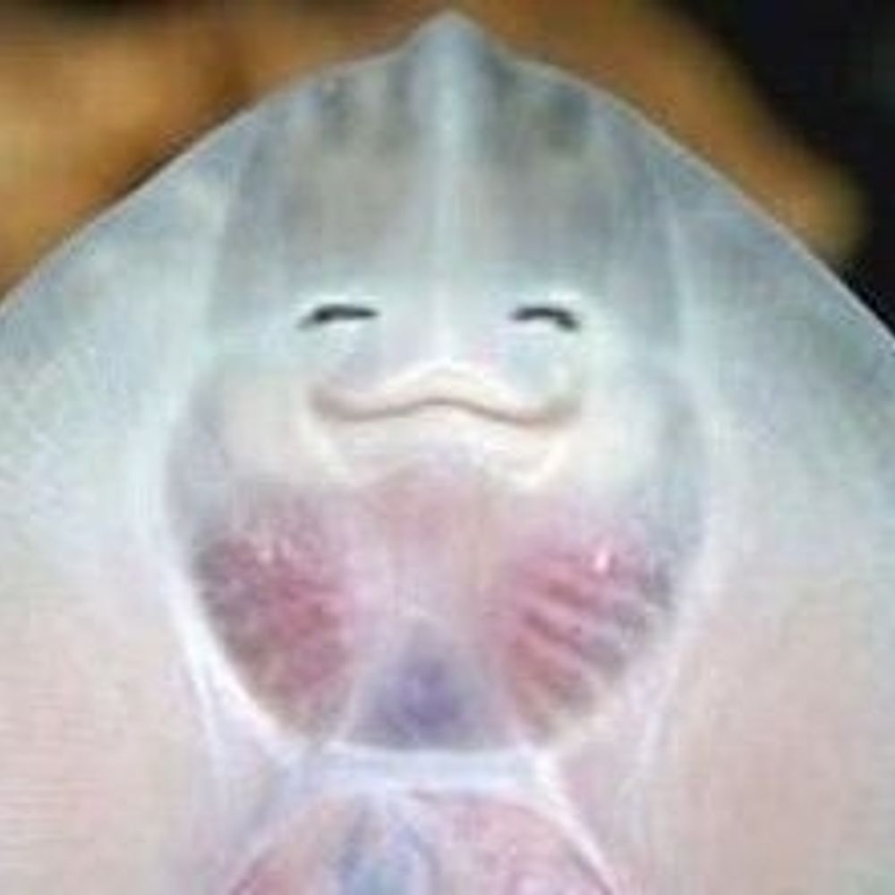 포도