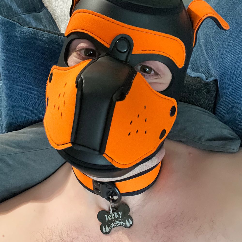 Pup Jerky