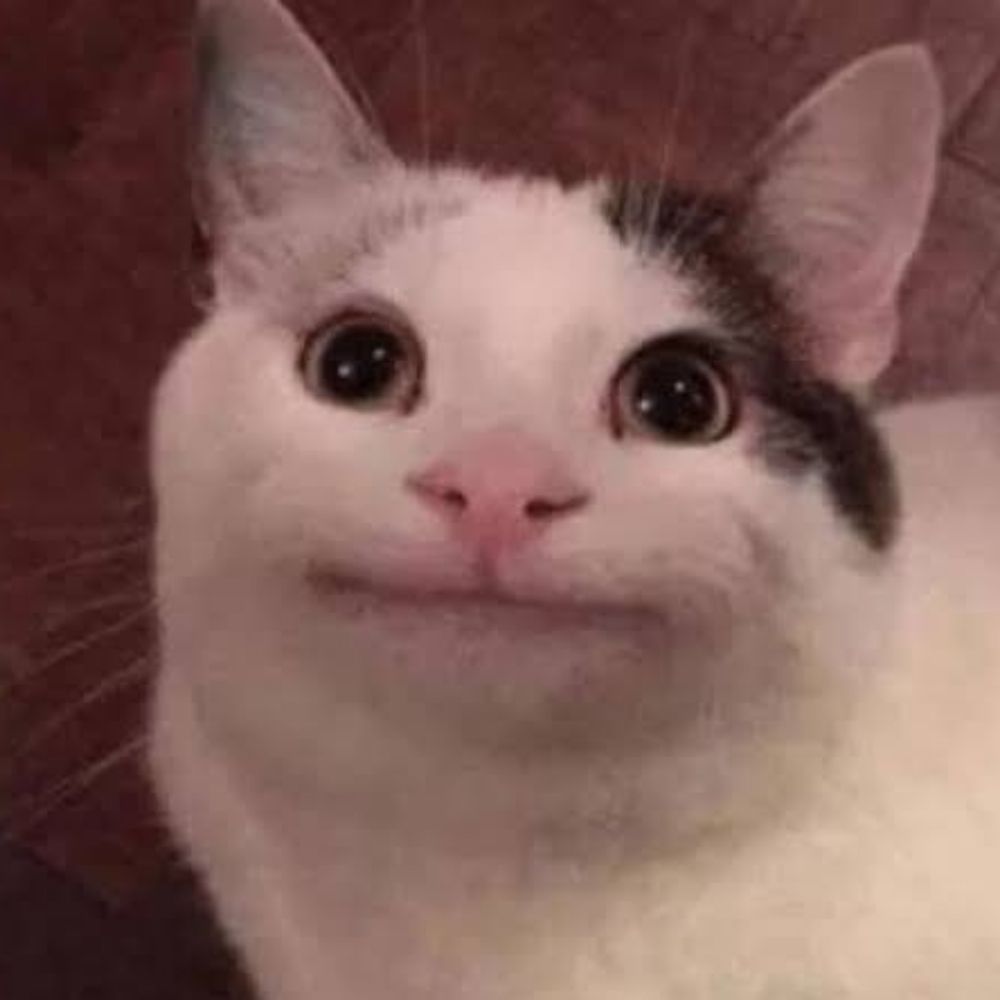 LuluzinhaBH