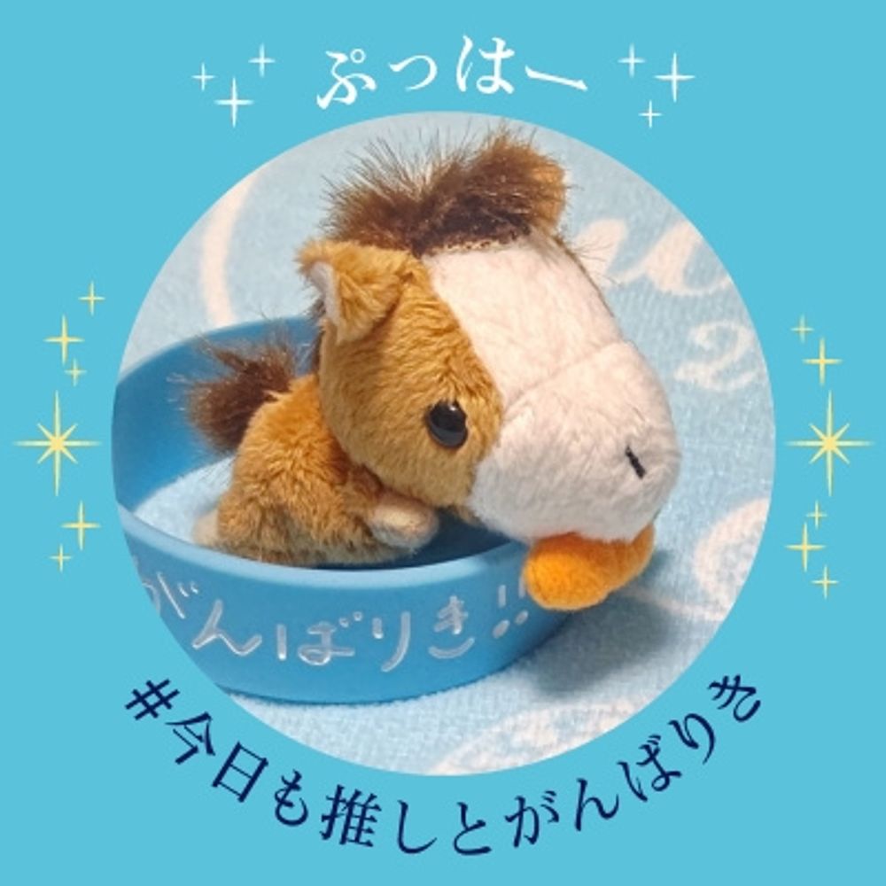 たゆ