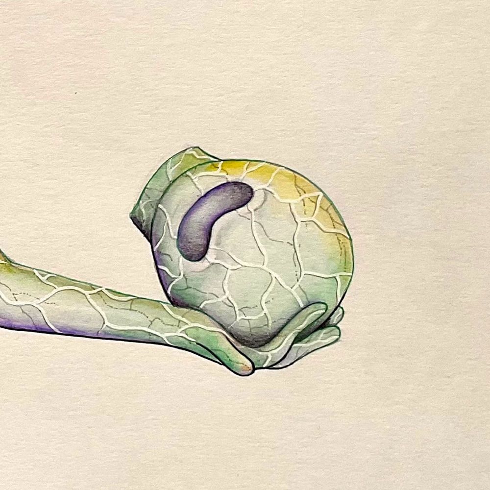 D W Olsen