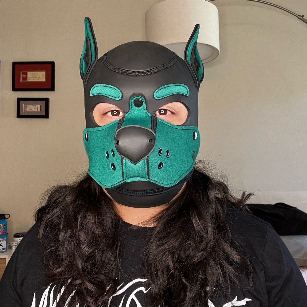 Pup Lucky