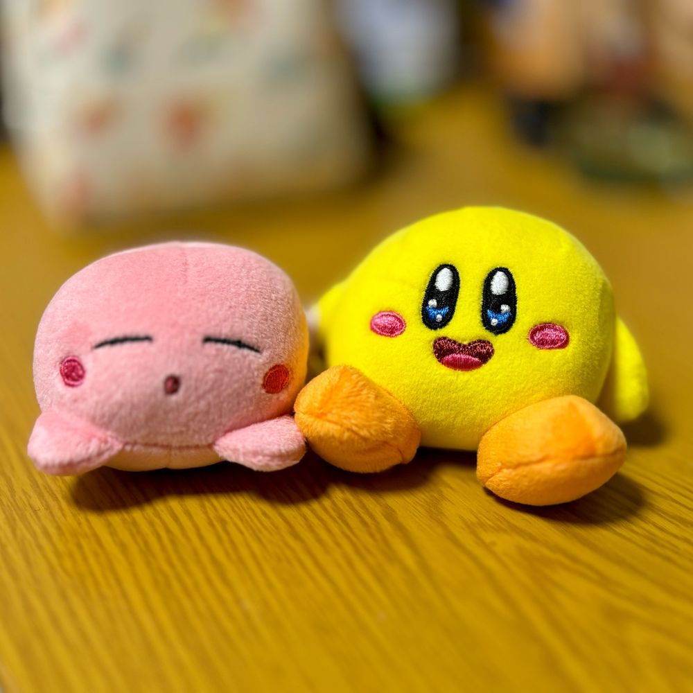 けんぴ