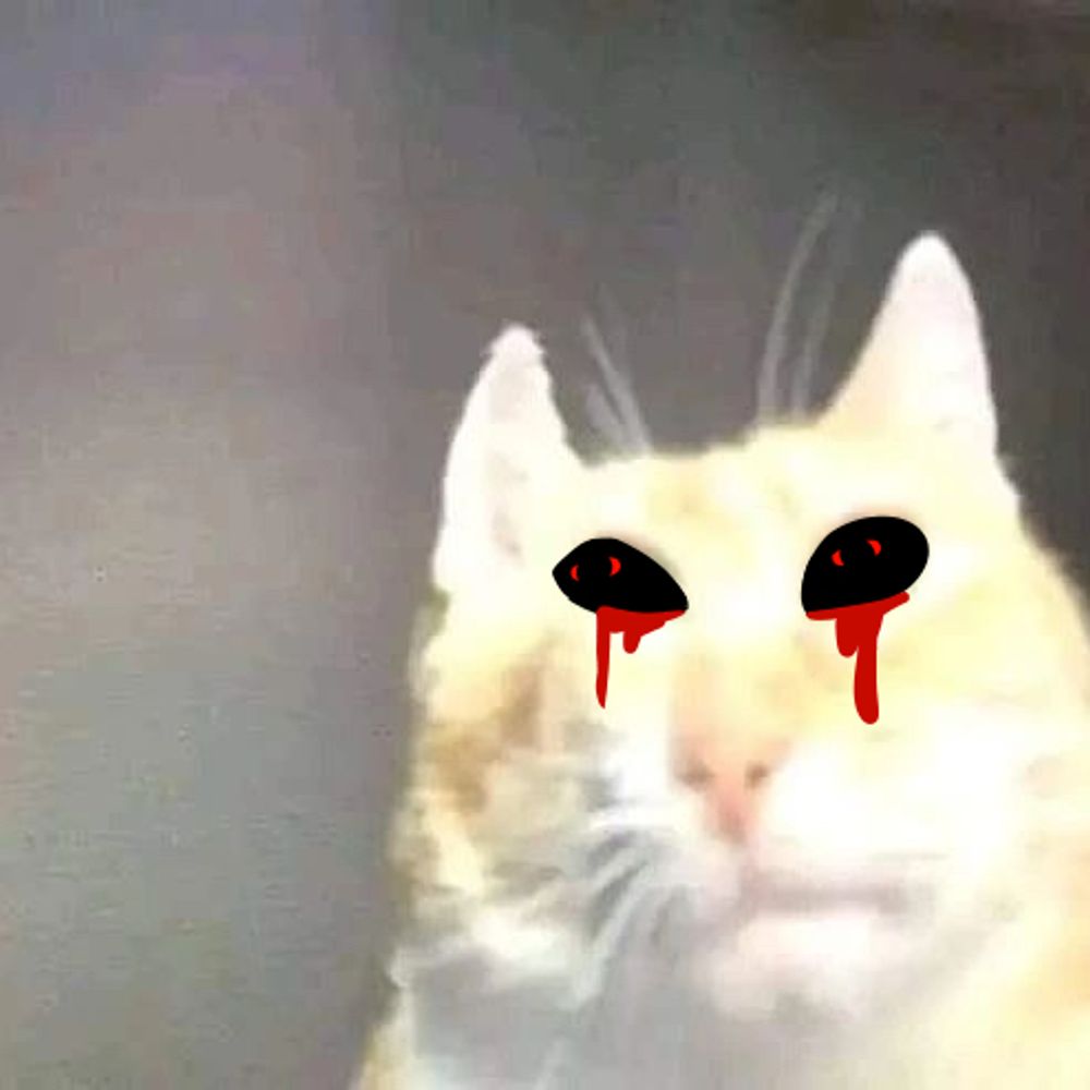 🔞The Evil Fucking Cat🔞