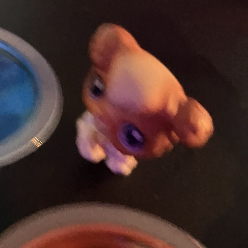 peeb