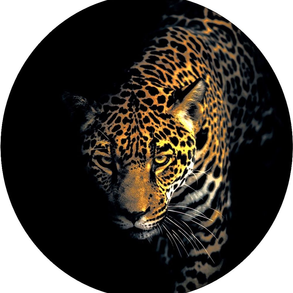 Center for Biological Diversity Action Fund