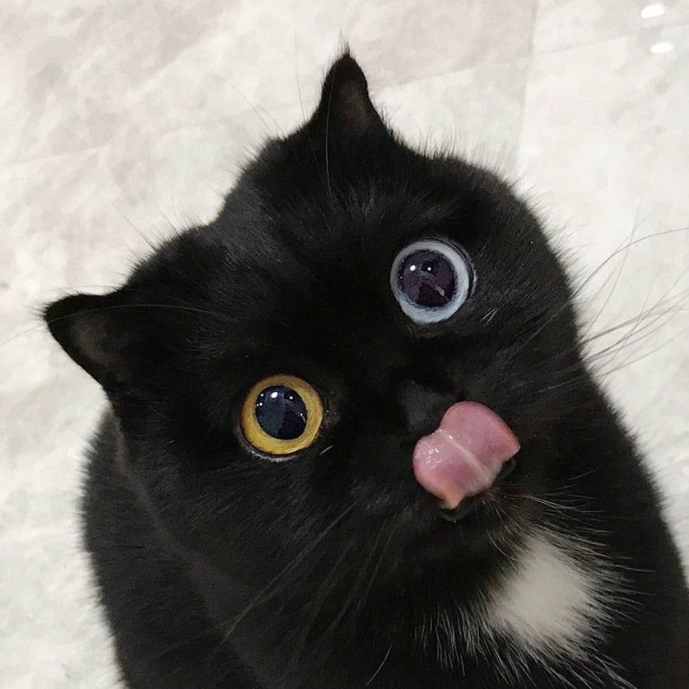 一番ᗢᘏᓗ