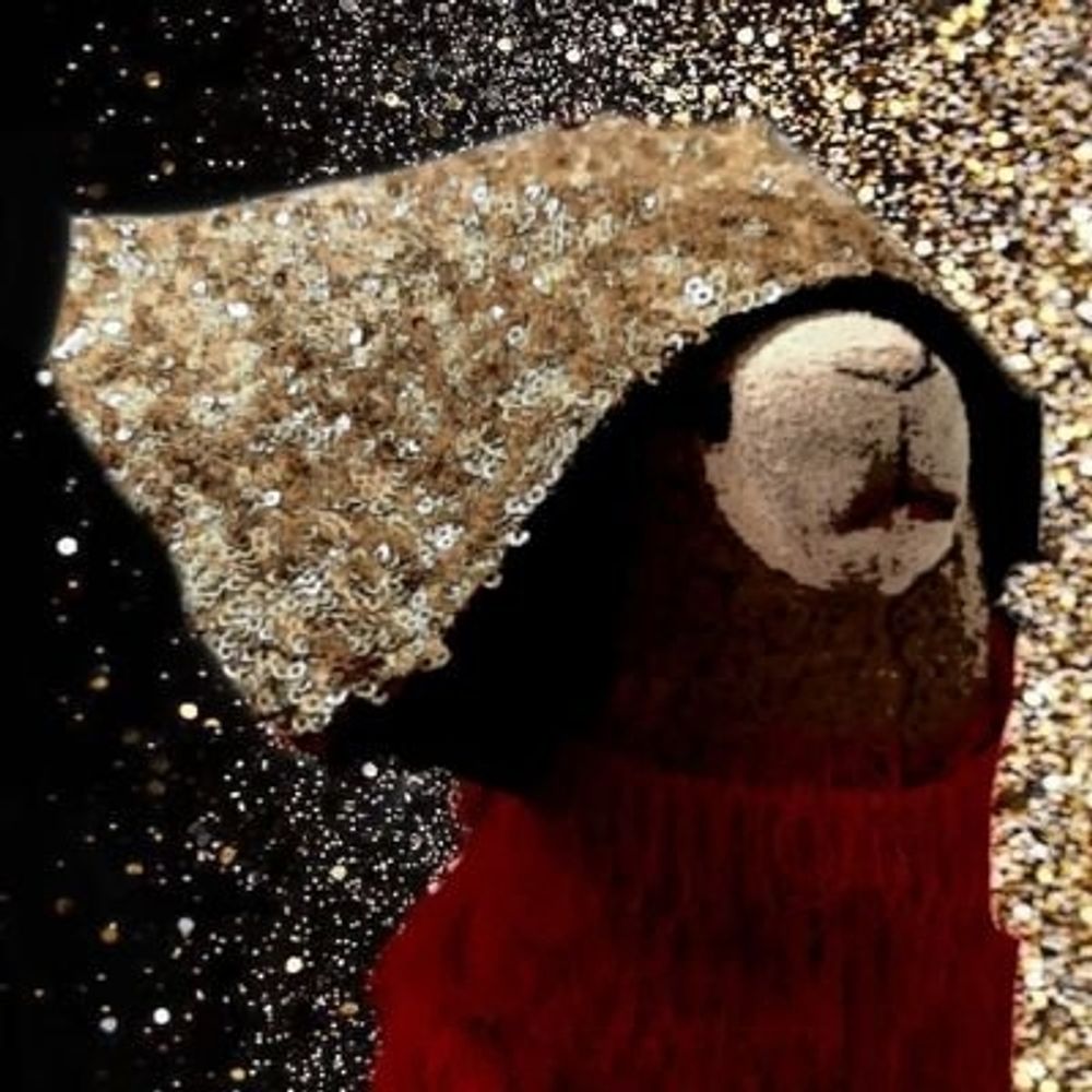 Alpaca's avatar
