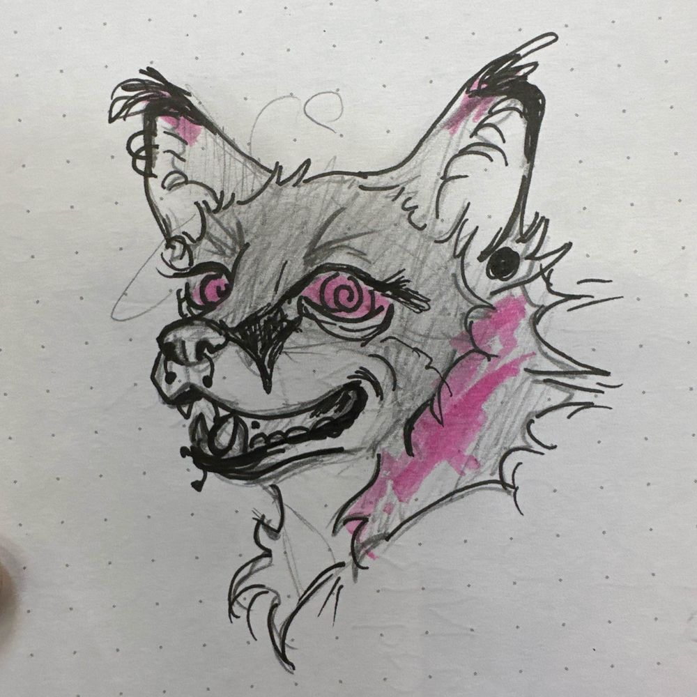 Phunky Zorra 