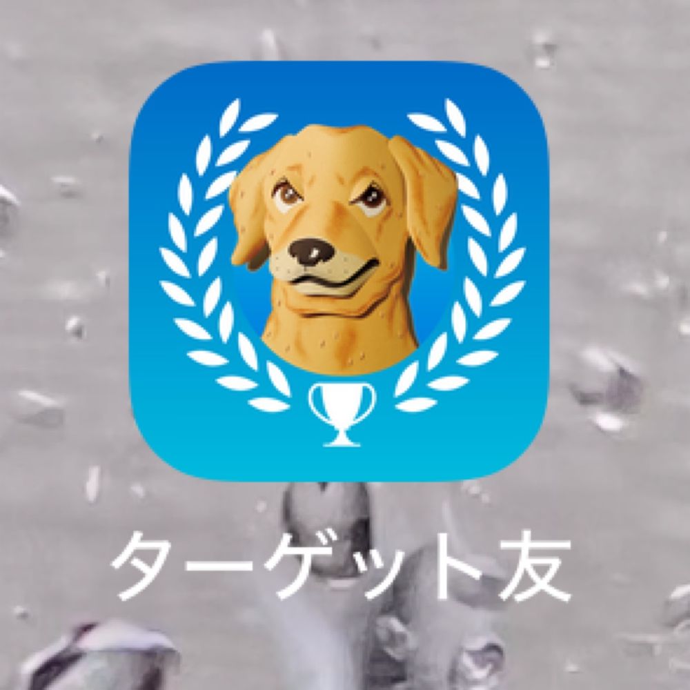 毎日