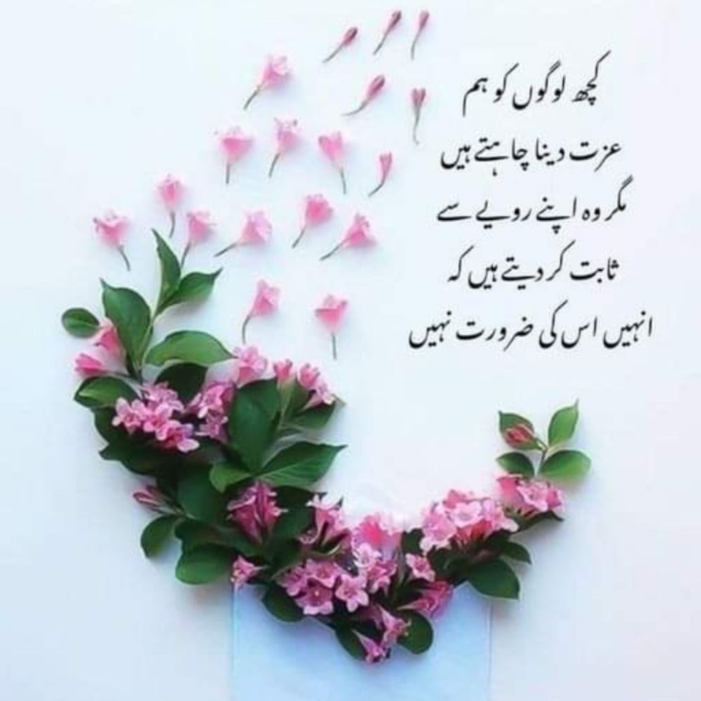 Sohail Gull