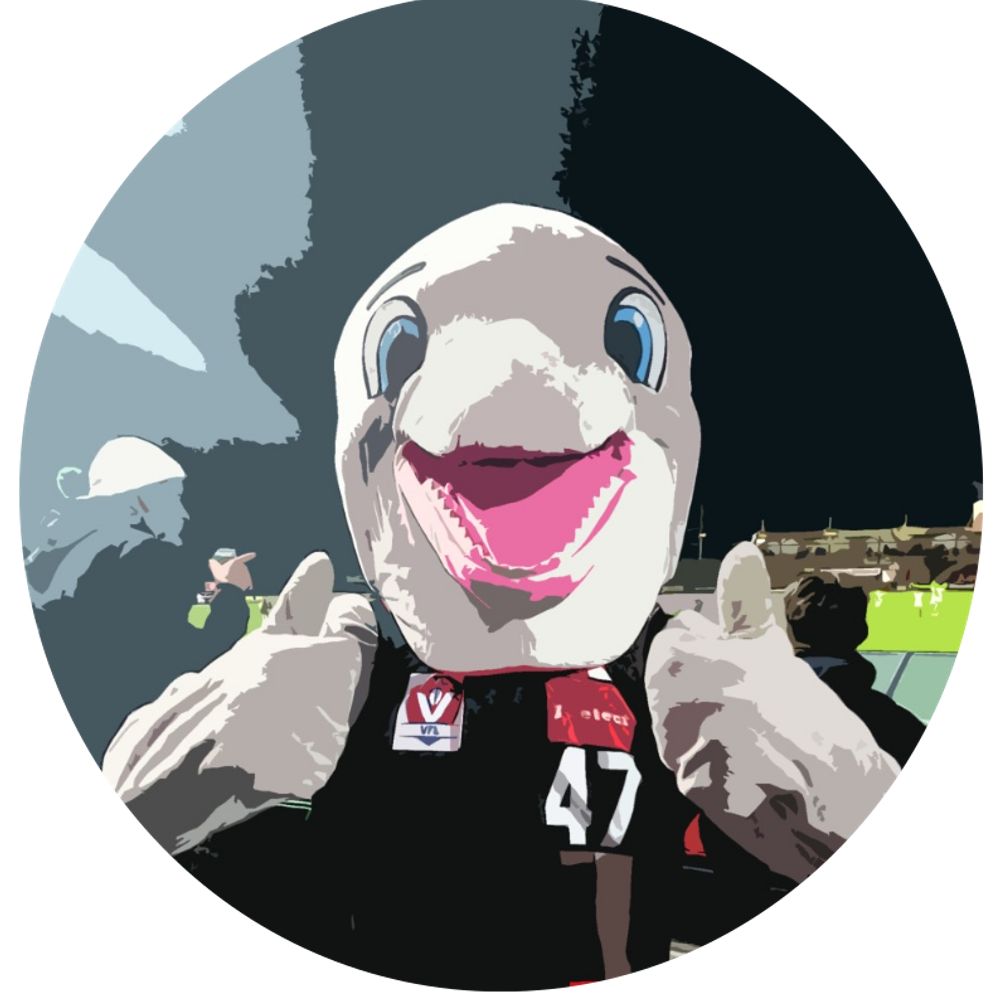YeahTheDolphins