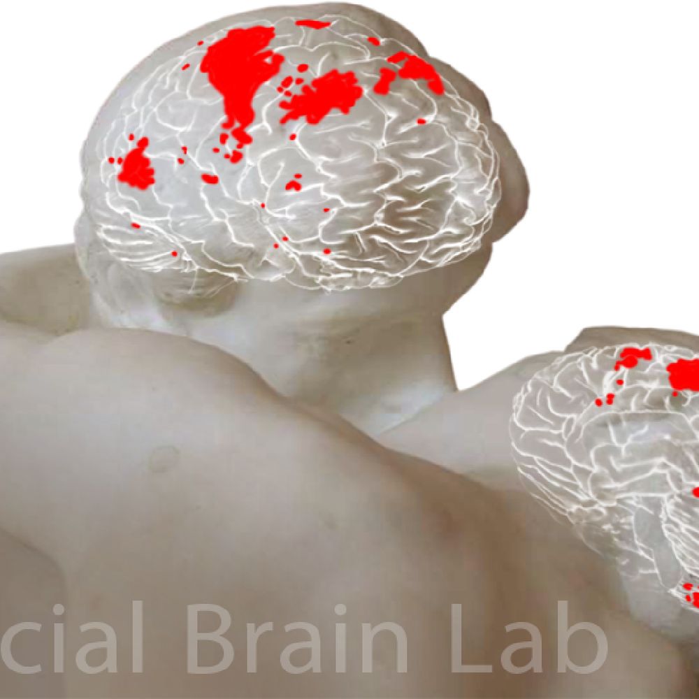 Social Brain Lab