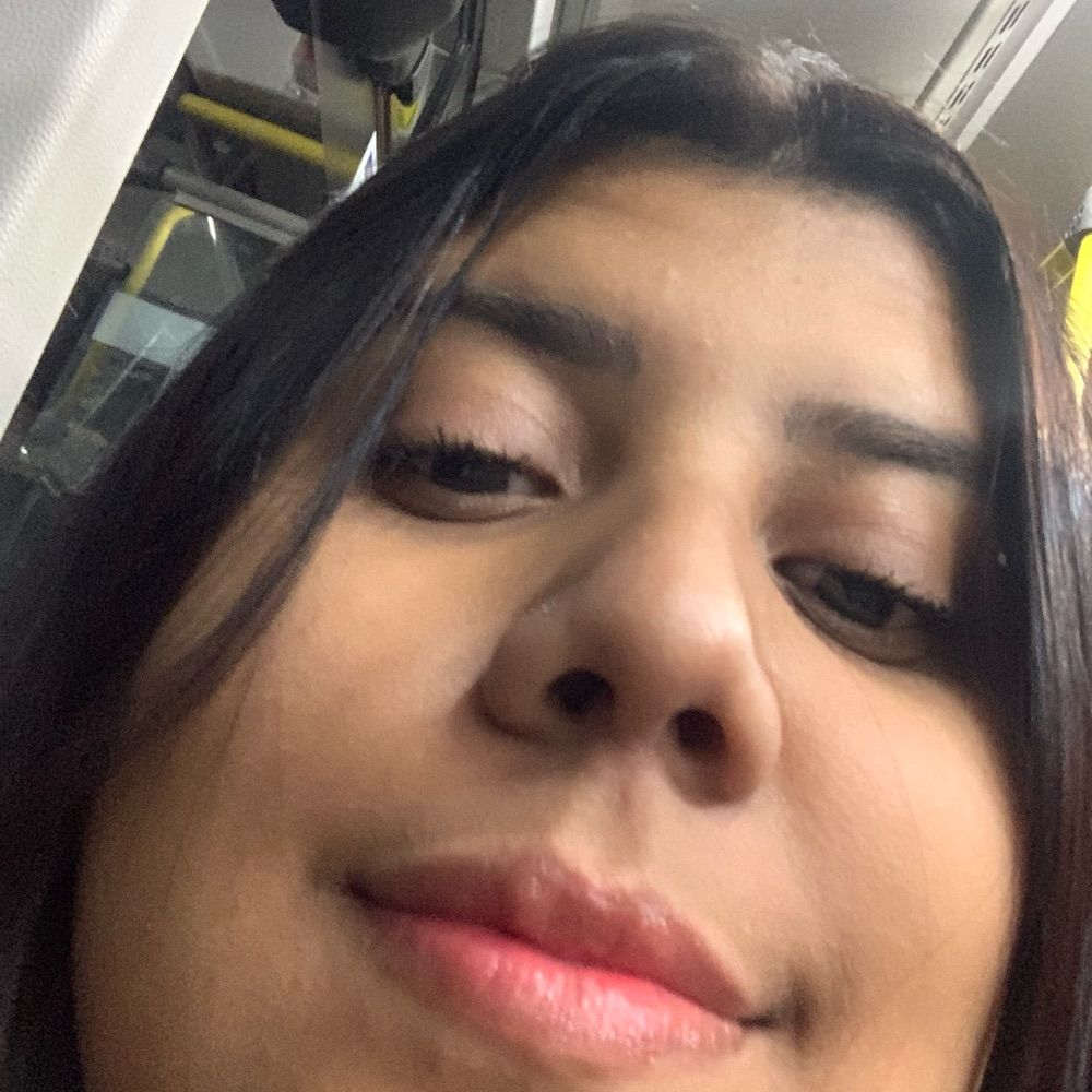 Jurídico da mulher que é fiel como uma cã