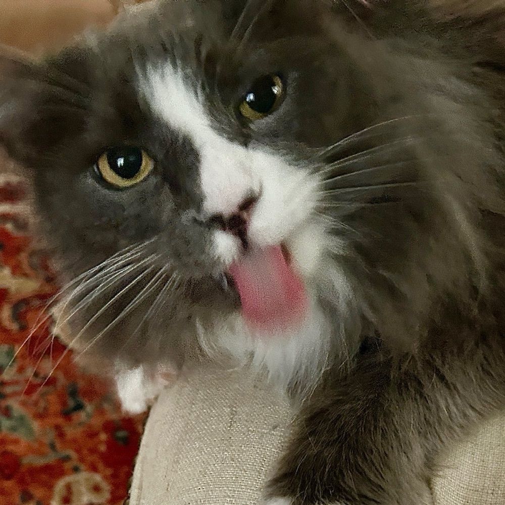 Anita
