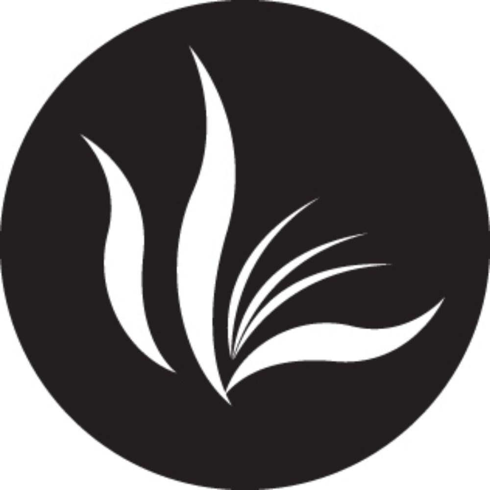 University of Illinois Press's avatar