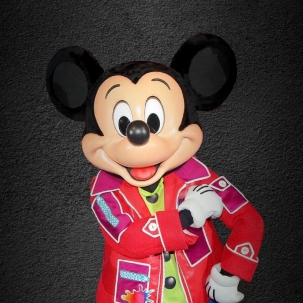 Disney Fan