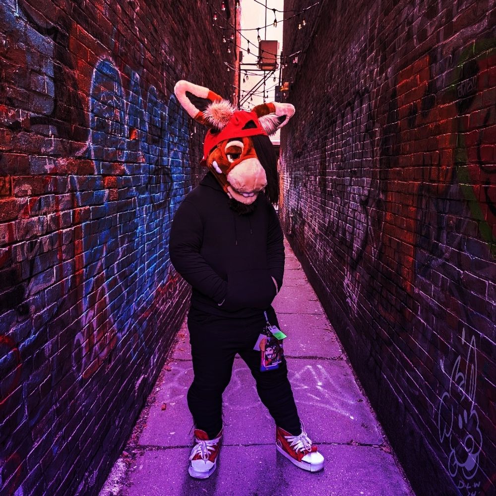 ruskenbonkeydonk.bsky.social profile picture