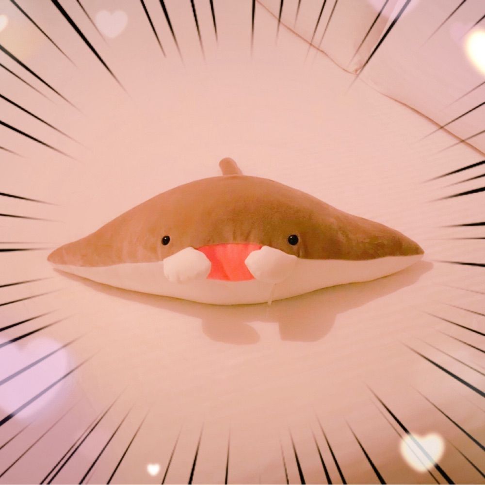 失憶魟魚