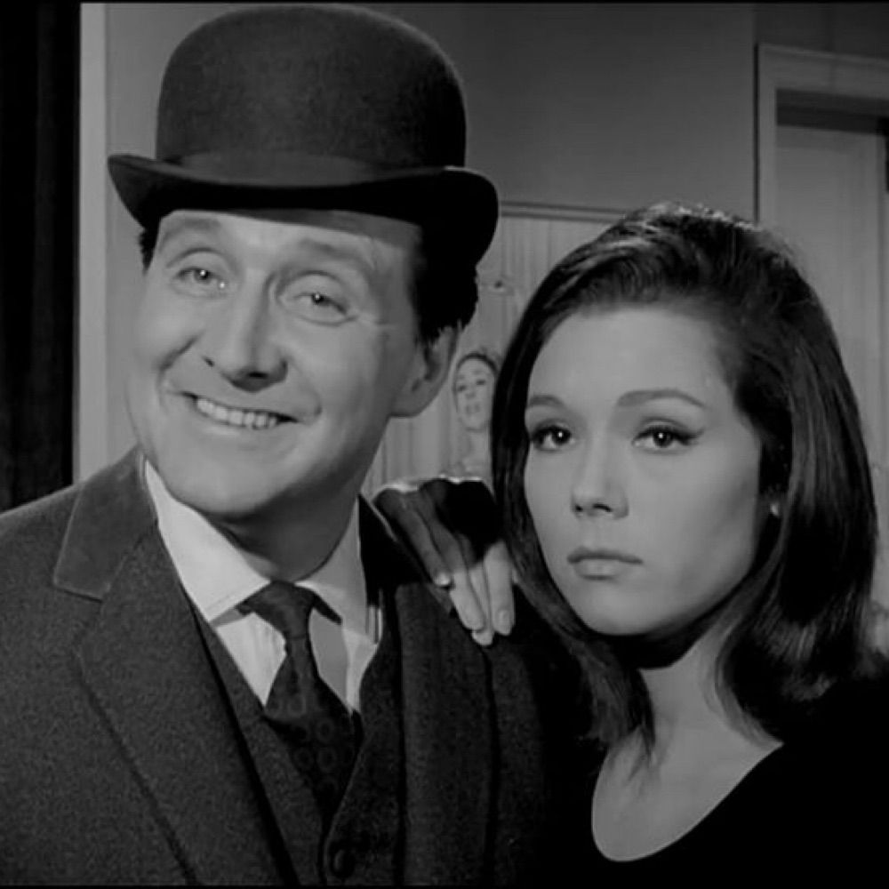 Steed loves EU