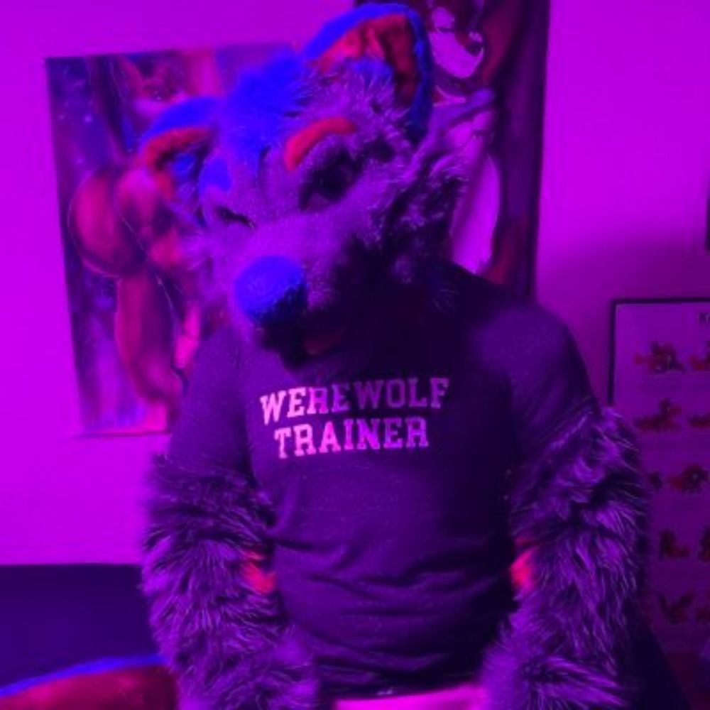 Konrad The Wolf 