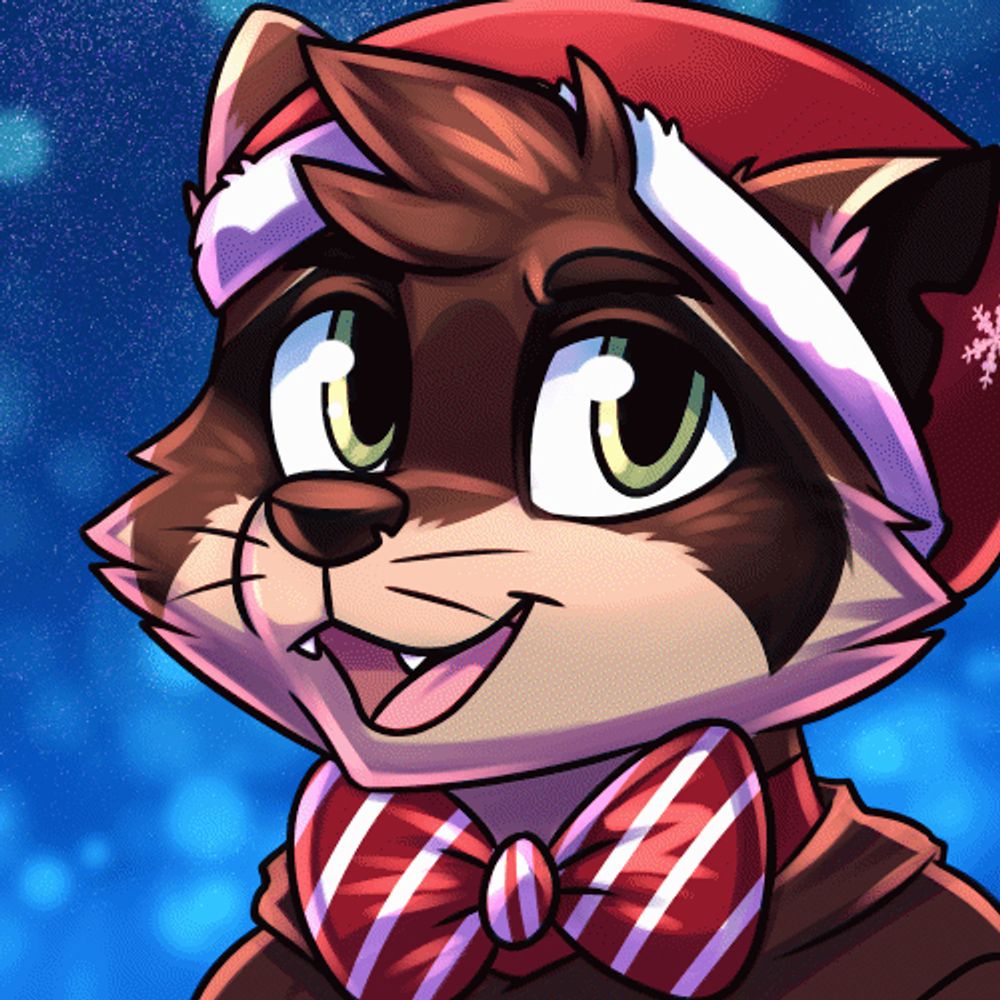 dapperraccoon.bsky.social