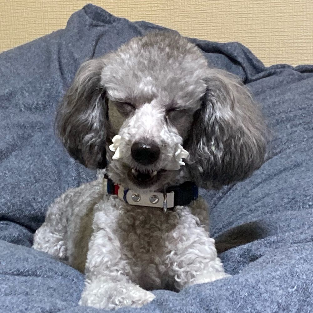 ルモンド