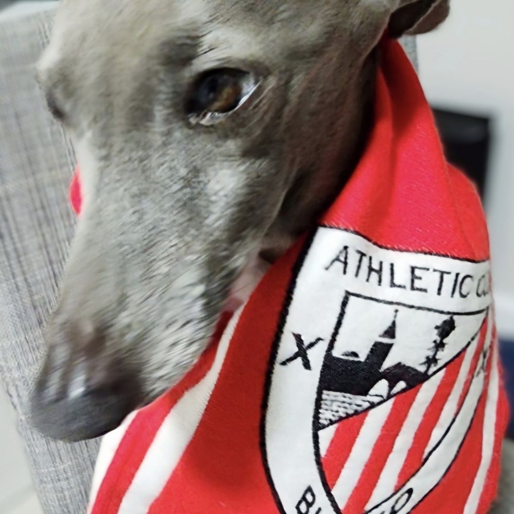Galgora Athleticazle