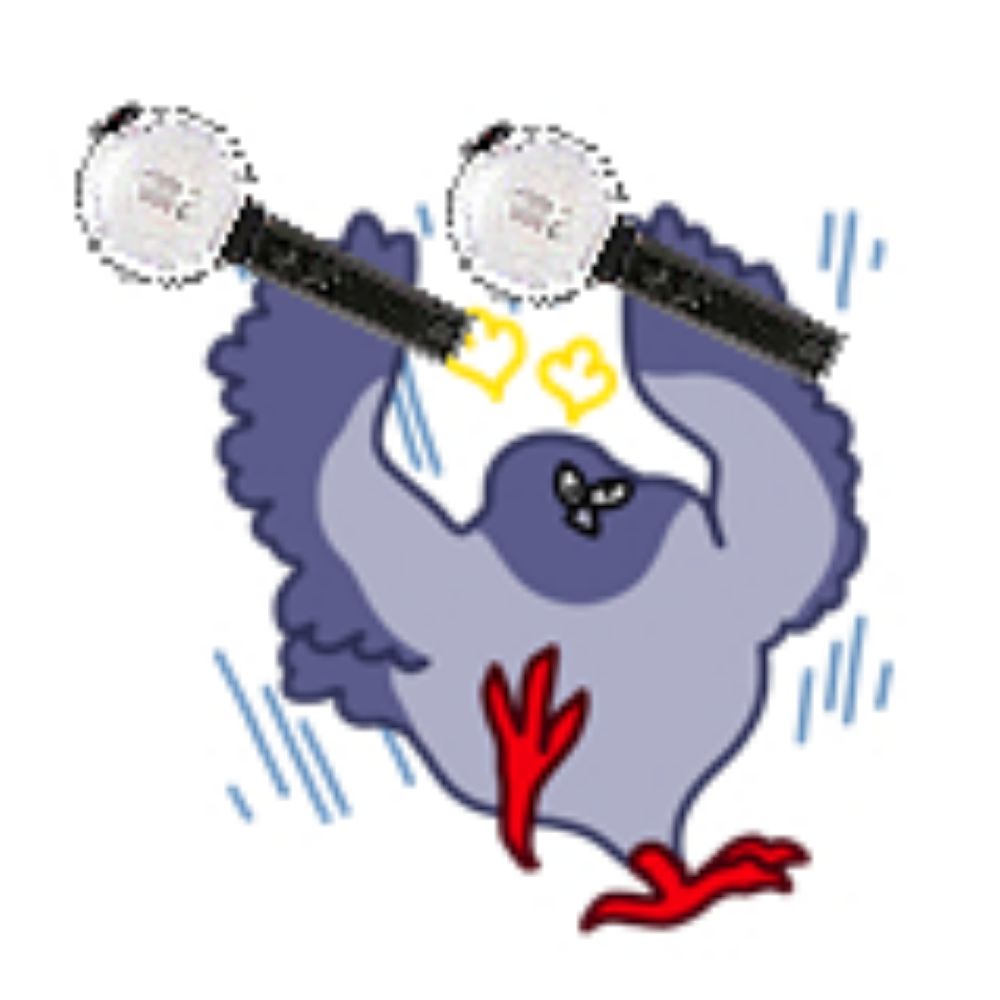 시유