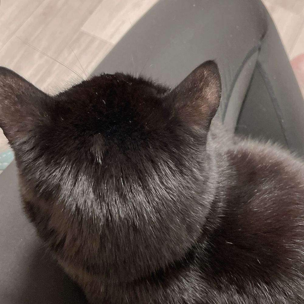 さ